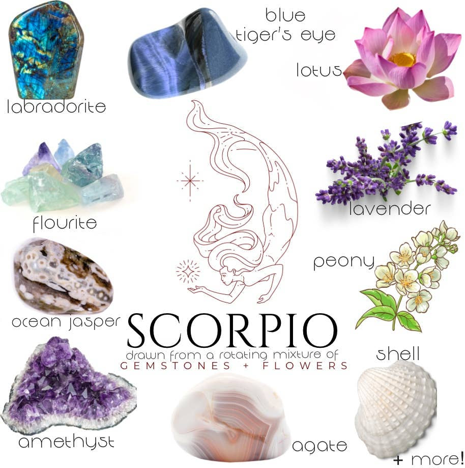 Crystals, flowers, and herbs that pair well with Scorpio all on a white background.