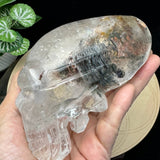 Crystal Alien Skull - Lodolite
