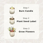 Growing Candle - Ceramic Soy Candle