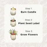 Growing Candle - Ceramic Soy Candle