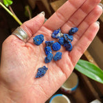 azurite blueberries in hand