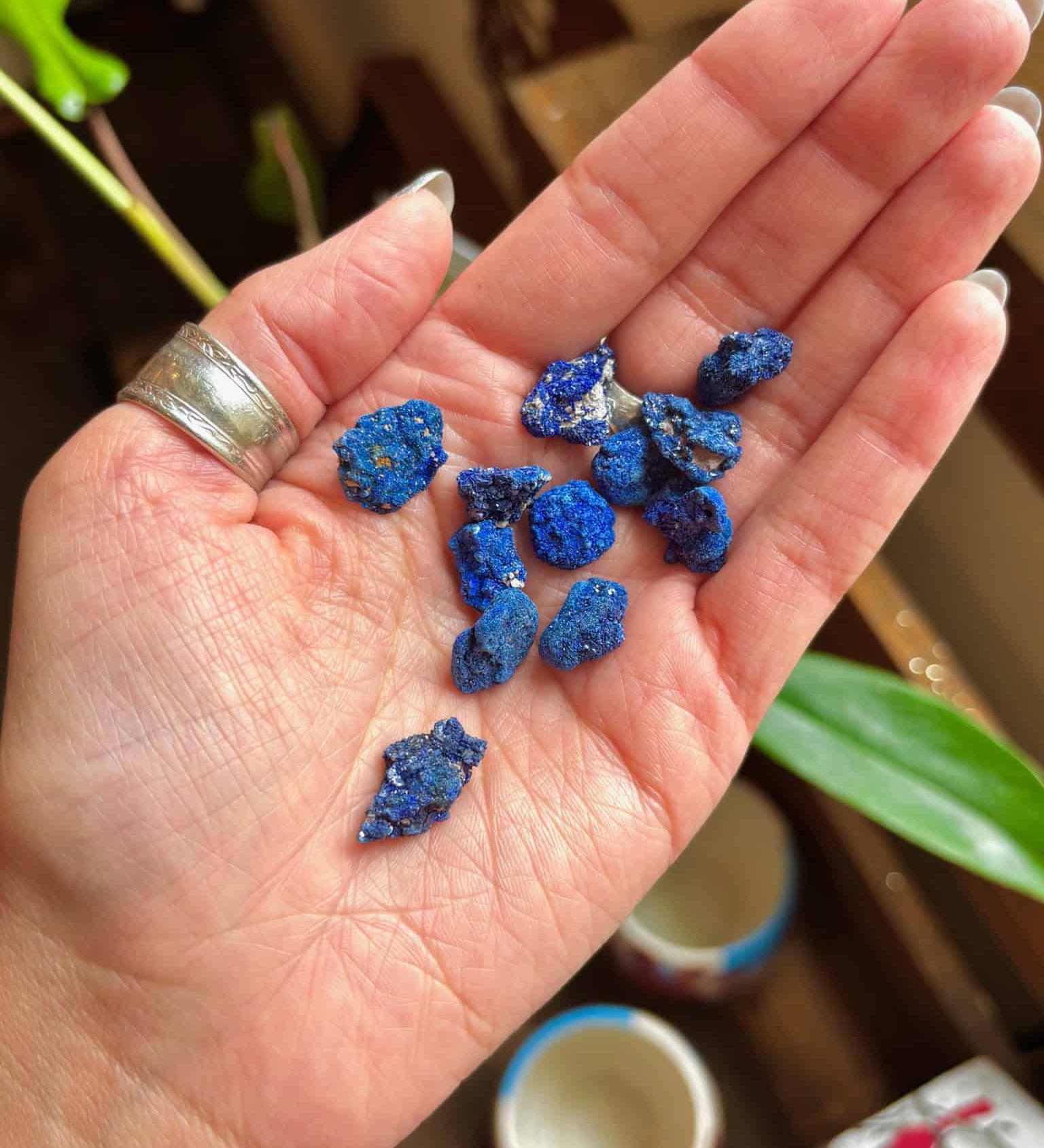 azurite blueberries in hand