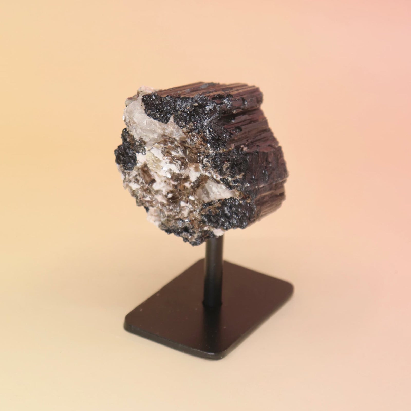 Black Tourmaline Raw Crystal Mineral on a stand against a beige background from the side