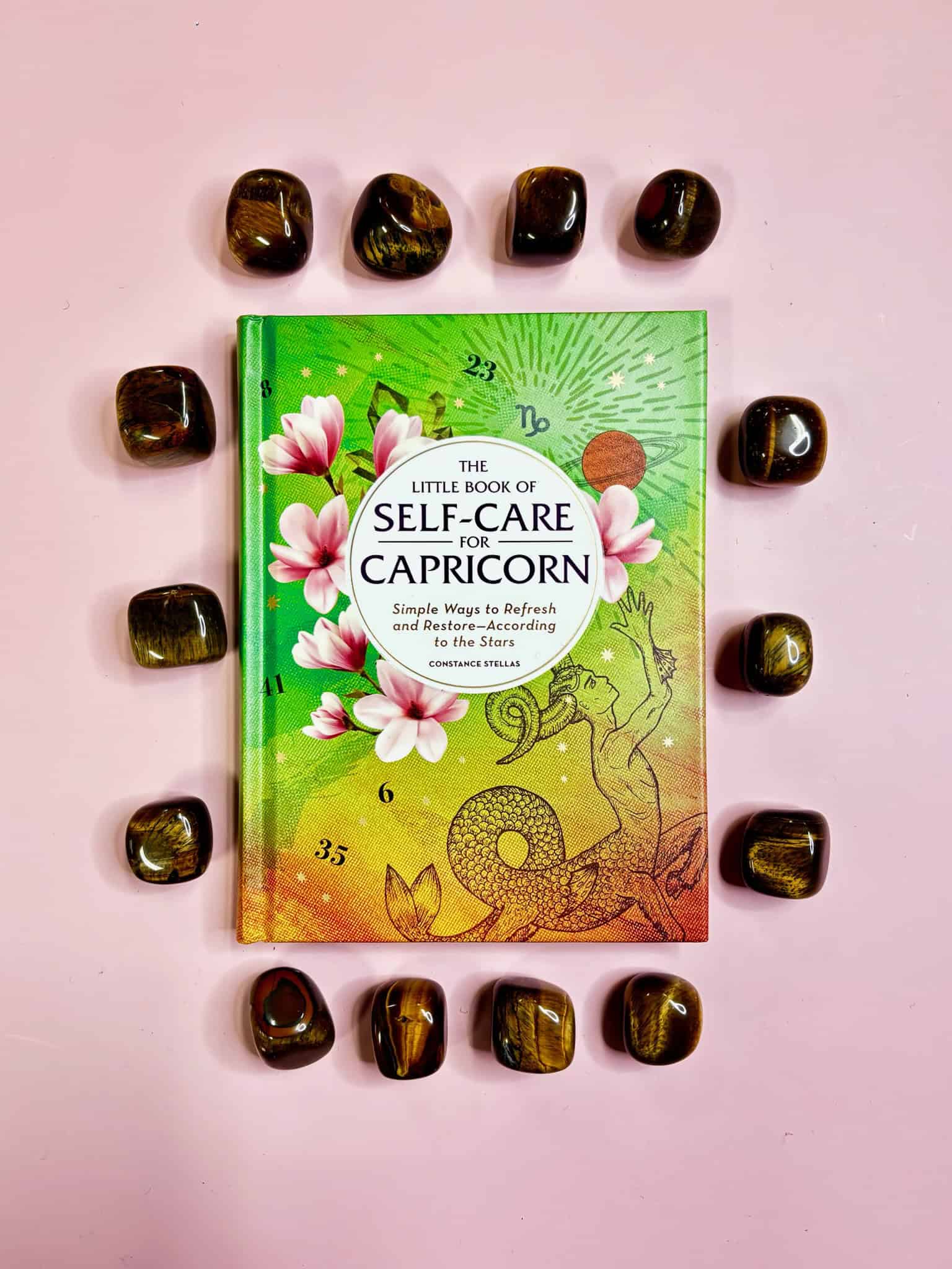 Self-Care for Capricorn Zodiac Book