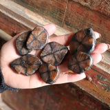 Hand holding several brown, textured stones against a rustic brick wall background