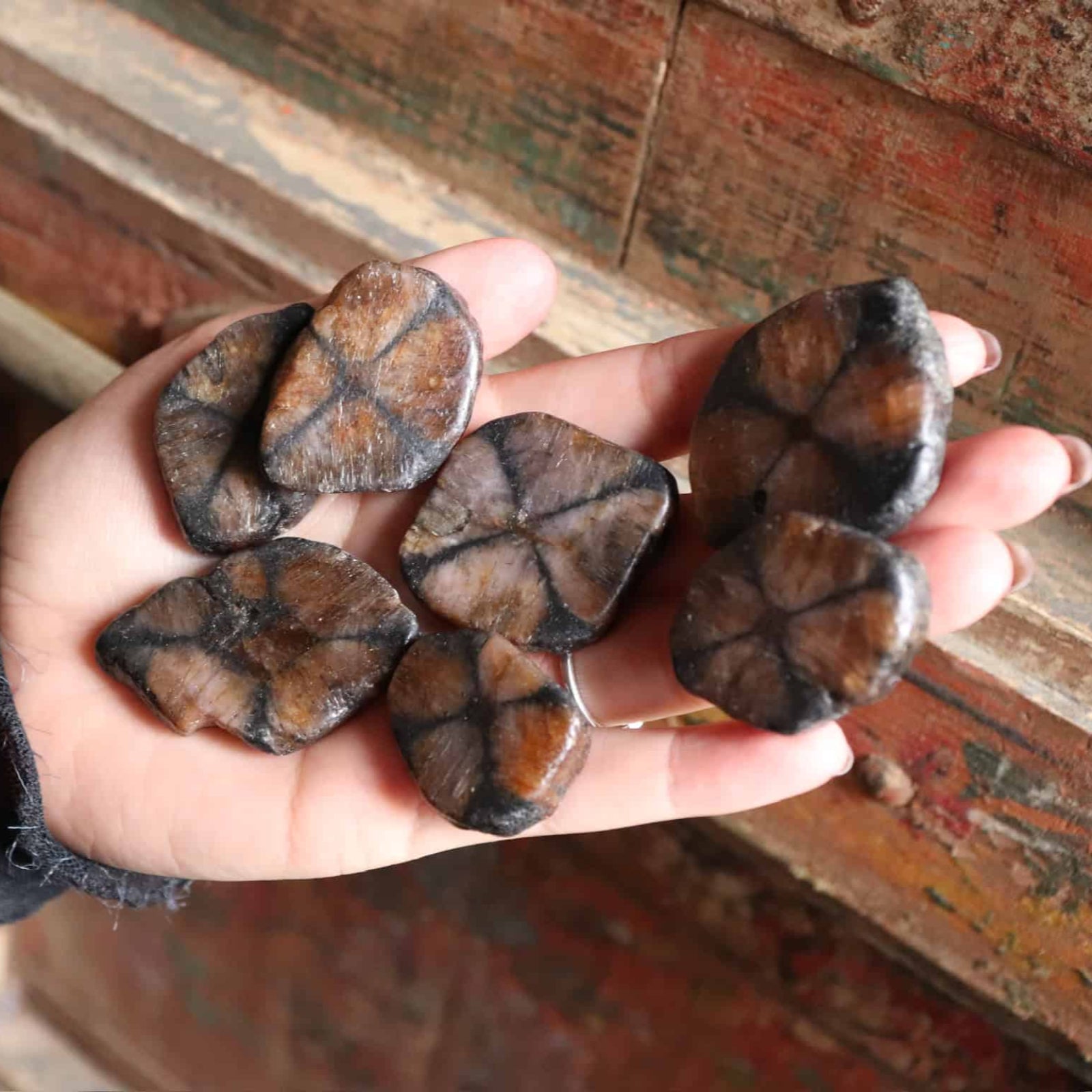 Hand holding several brown, textured stones against a rustic brick wall background