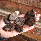 Hand holding several brown Chiastolite Tumble Crystal against a rustic wooden background