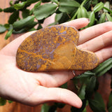 Hand holding a heart-shaped stone with green foliage in the background