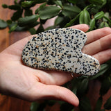 Hand holding a spotted dalmatian jasper stone with green leaves in the background
