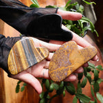 Heart-shaped stones held in hands with a plant in the background
