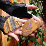 Heart-shaped stones held in hands with a plant in the background