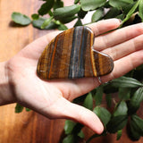 Hand holding a striped tigers eye stone with green plants in the background
