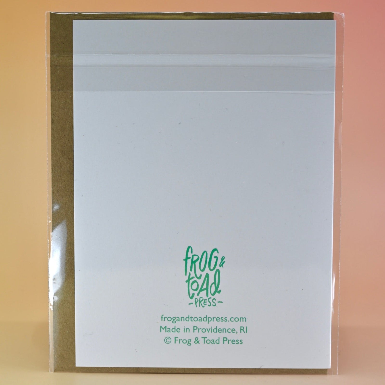 The back of the Happy Birthday Fart Face Greeting Card on a peach-colored background.