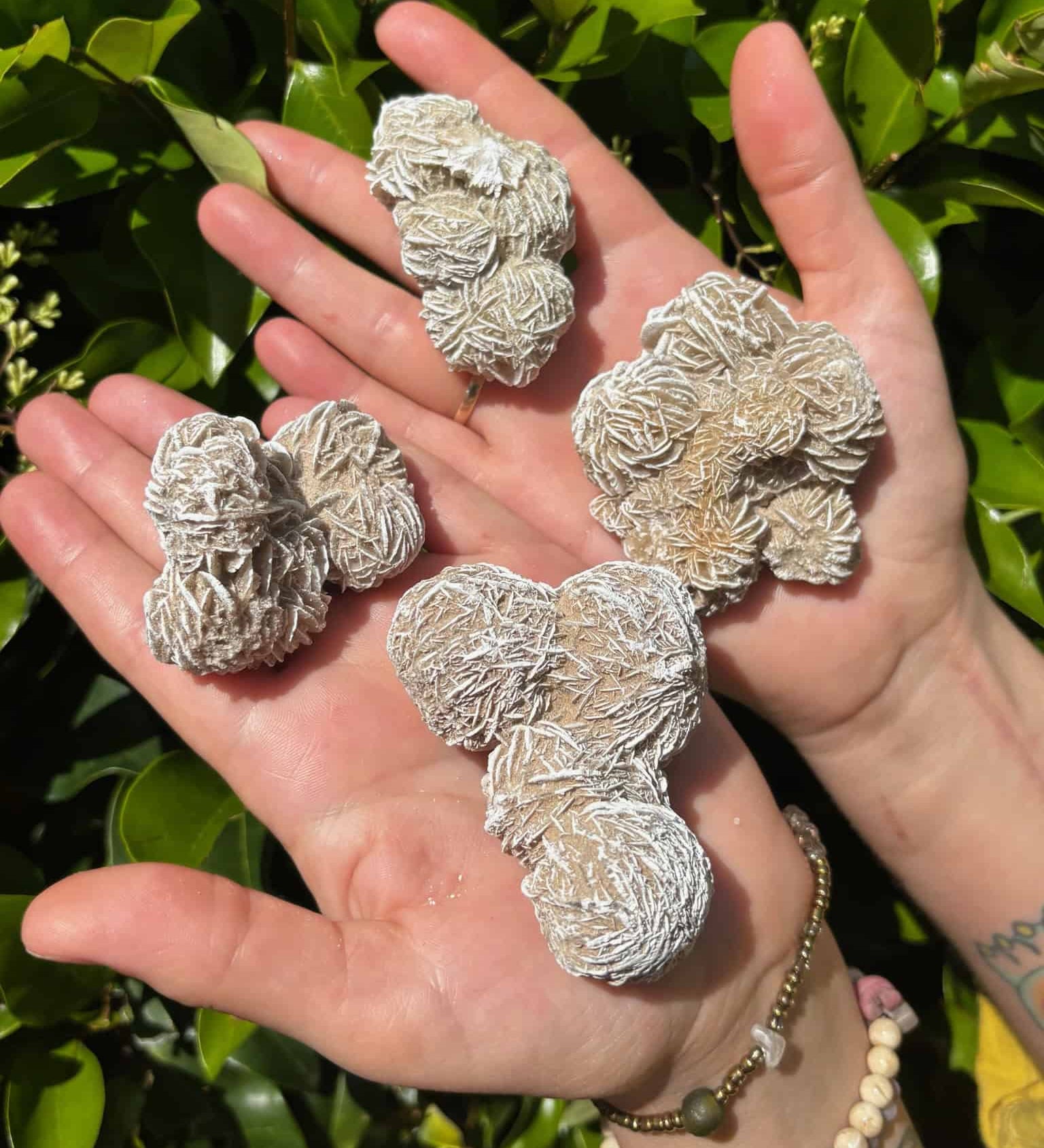 Desert Rose Crystal