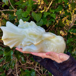 Onyx Crystal Dragon Head