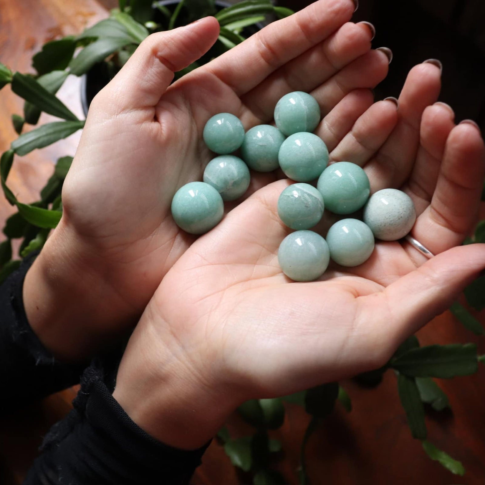 Hands holding green aventurine stones with a plant in the background