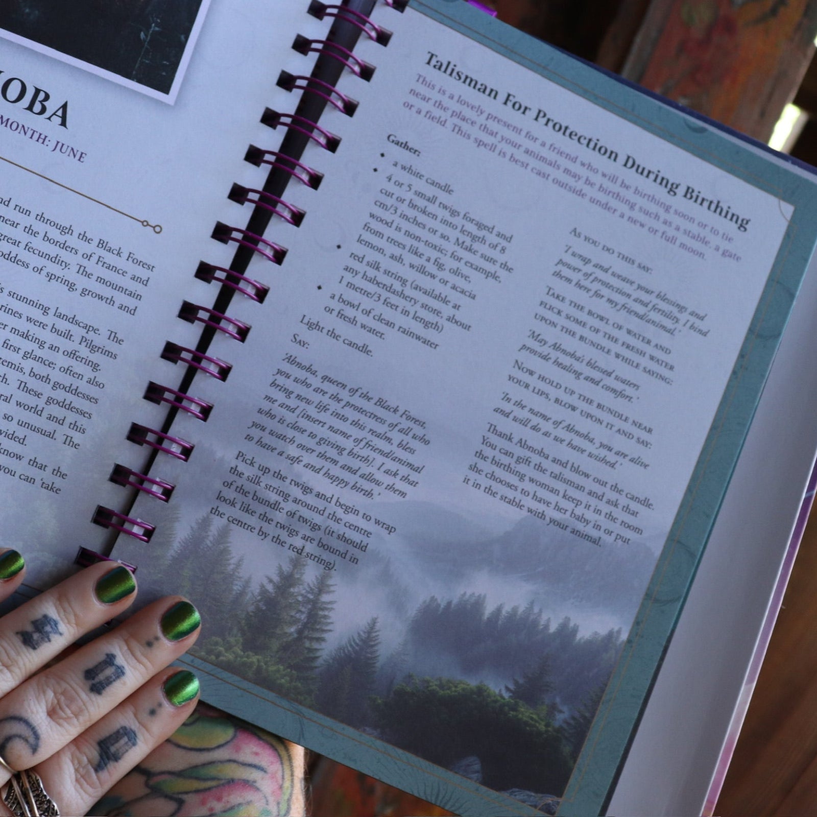 Someone holding the 2026 Lunar and Seasonal Northern Hemisphere Planner Calendar open in front of a wooden door, showing off the pages.