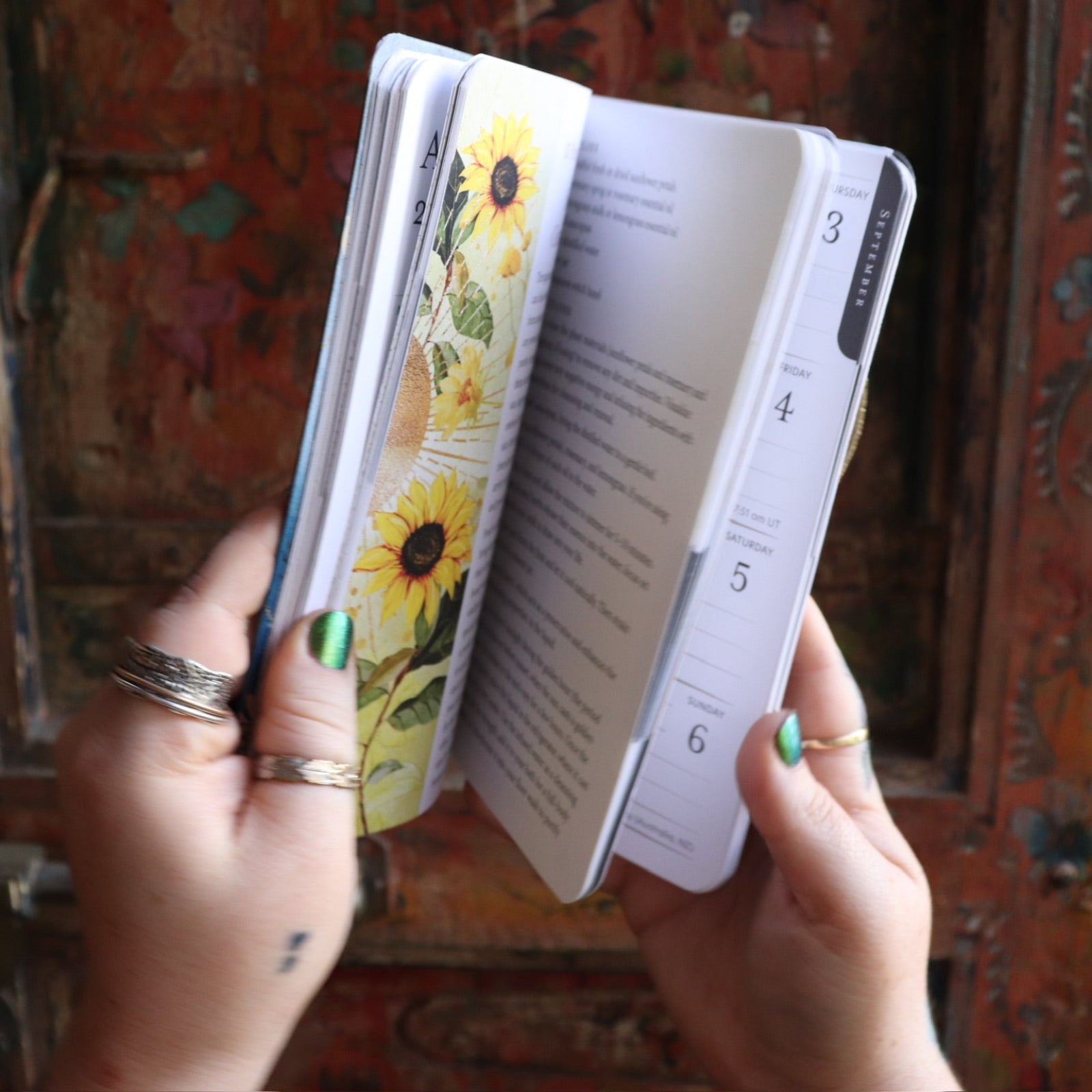 Someone holding the Year of the Witch 2026 Weekly Planner in front of a door, showing off the pages.