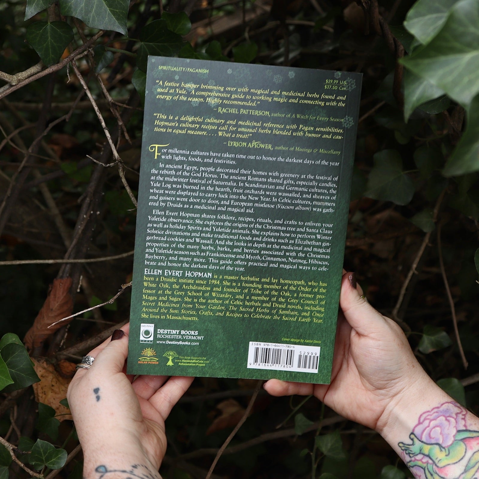 Someone holding the Sacred Herbs of Yule and Christmas in front of a green bush, showing off the back.