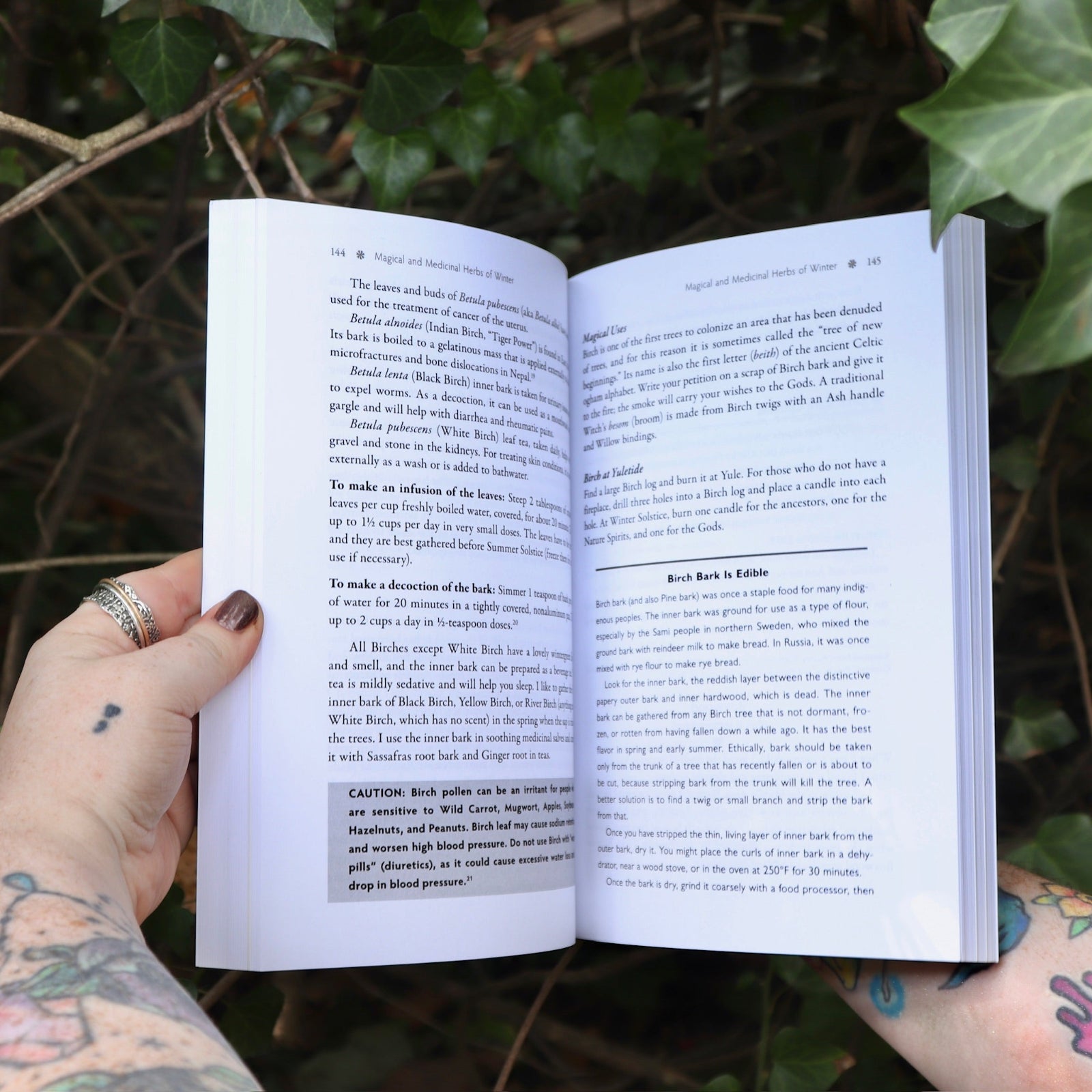 Someone holding the Sacred Herbs of Yule and Christmas open in front of a green bush, showing off the pages.