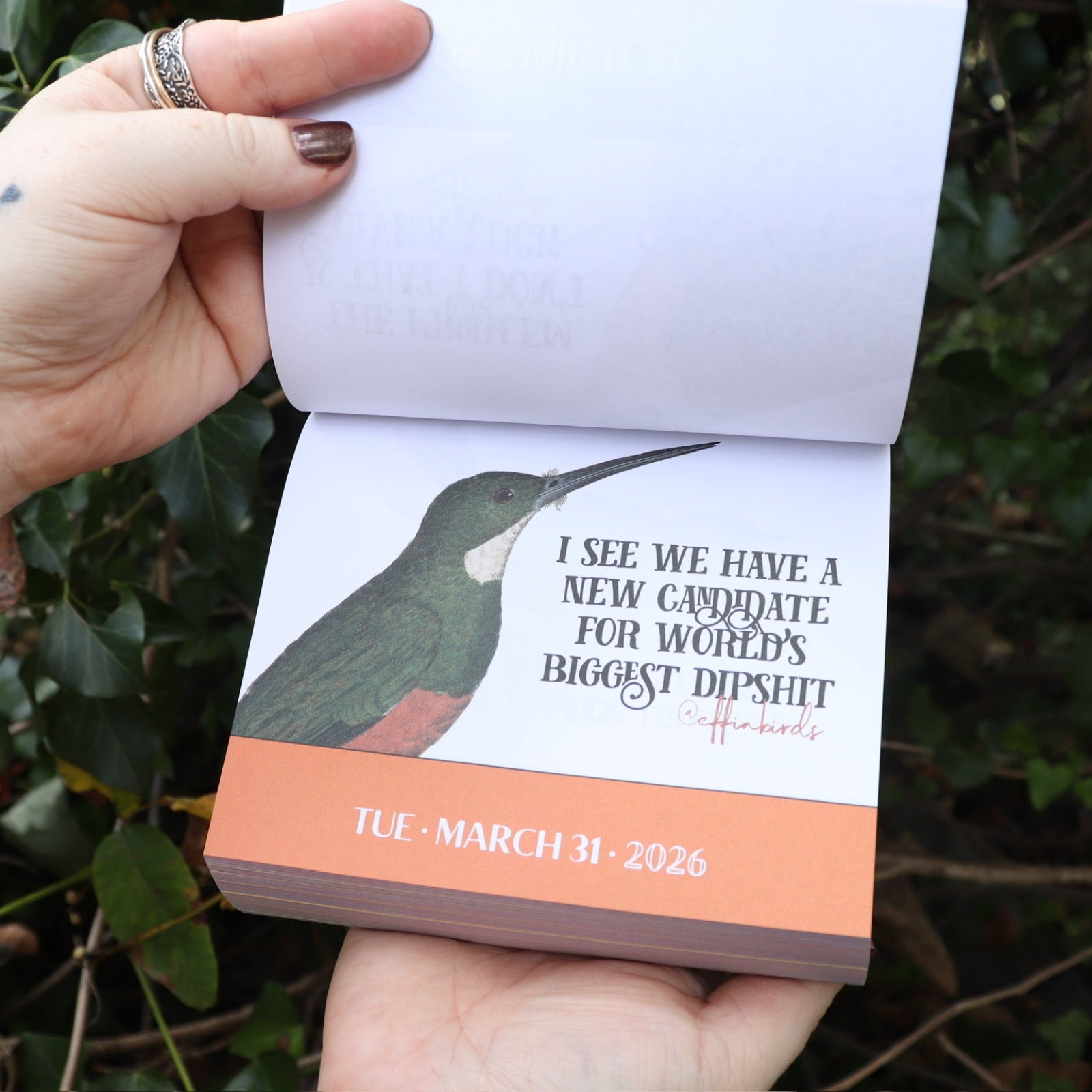 Someone holding the Effin' Birds 2026 Day-to-Day Calendar open in front of a green bush, showing off the pages.