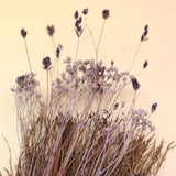 The Moon Besom Broom with Clear Quartz on a pink and yellow background.