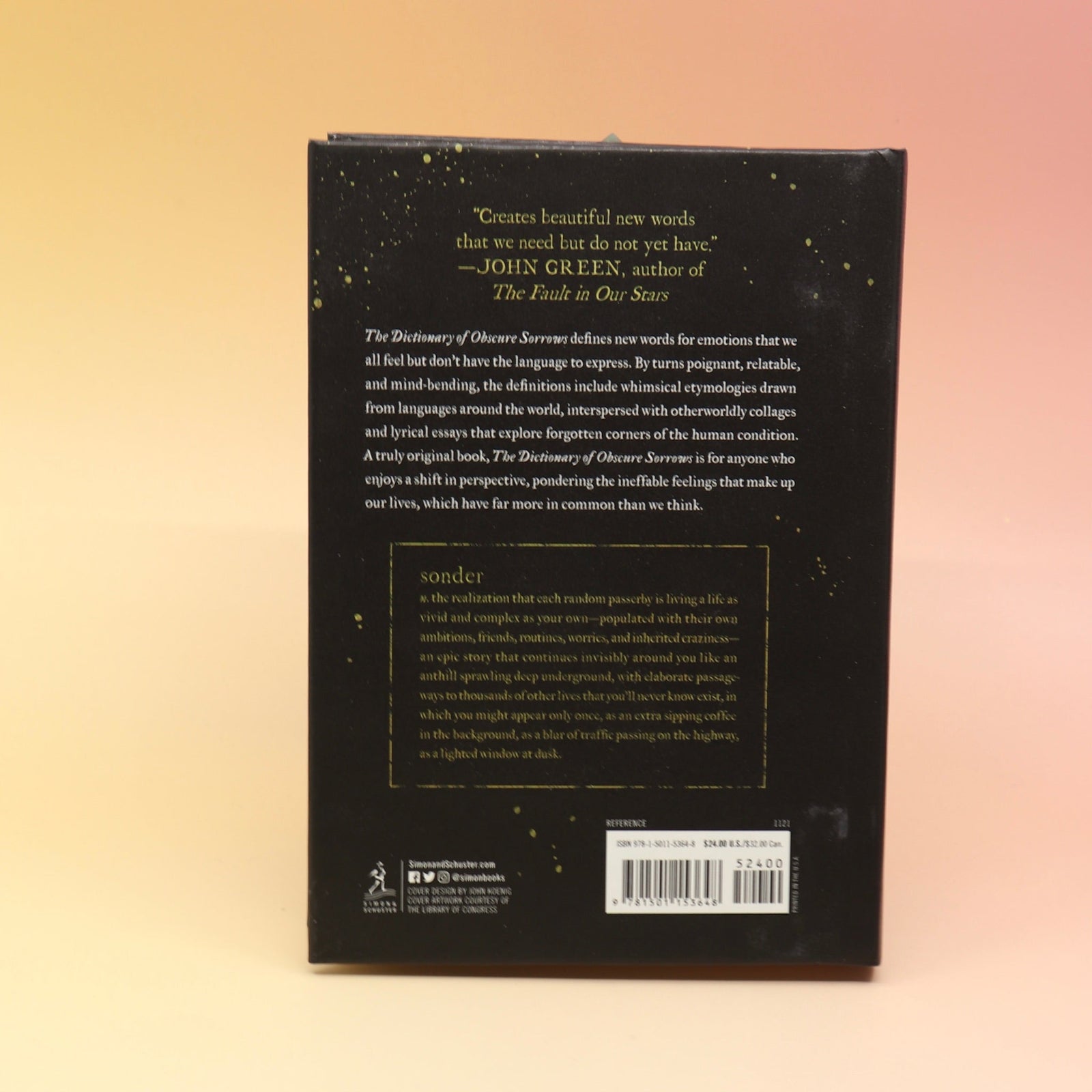 The Dictionary of Obscure Sorrows Hardcover Book in front of a pink and yellow background, showing off the back.