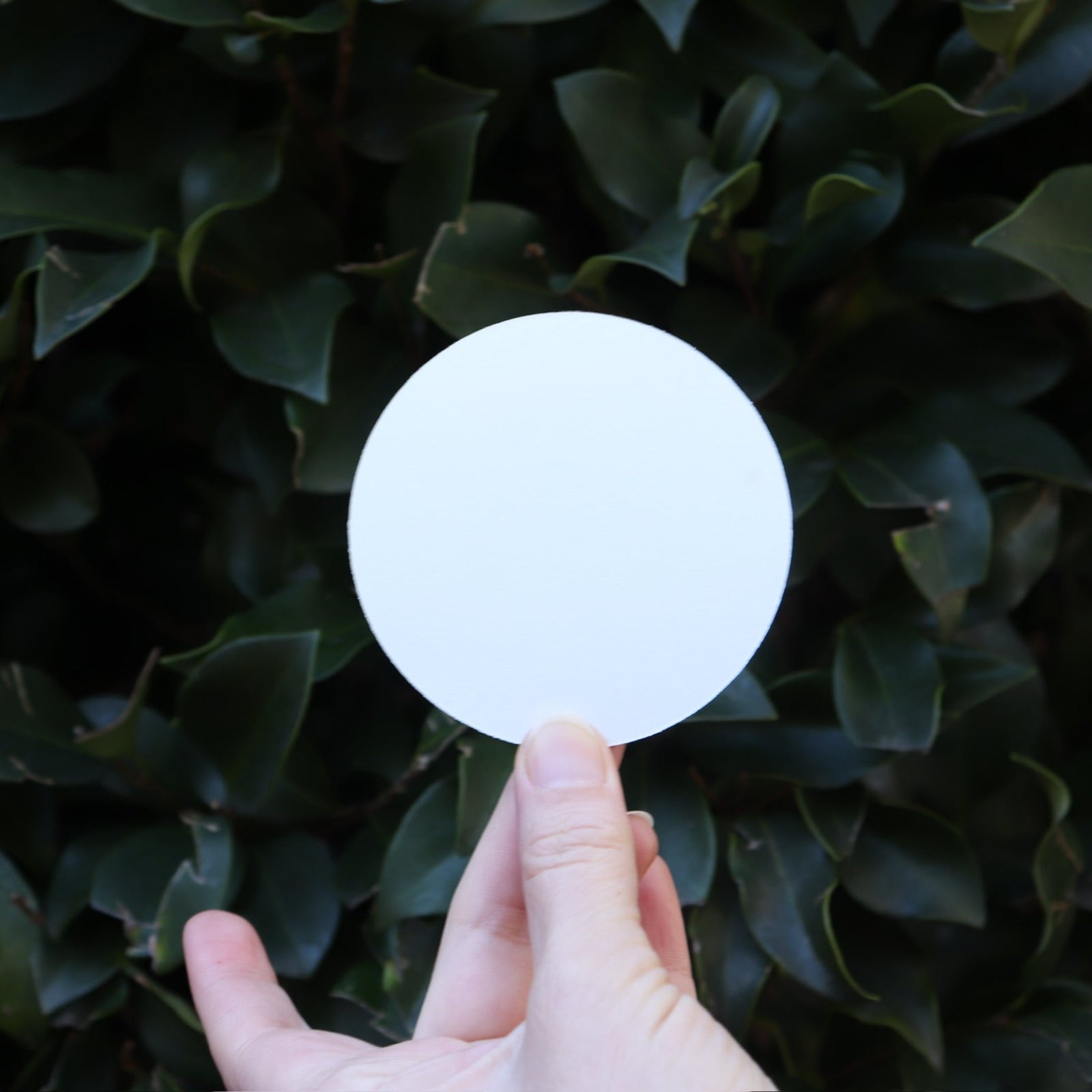 Someone holding the Actual Ghost Holographic Sticker in front of a green bush, showing off the back.