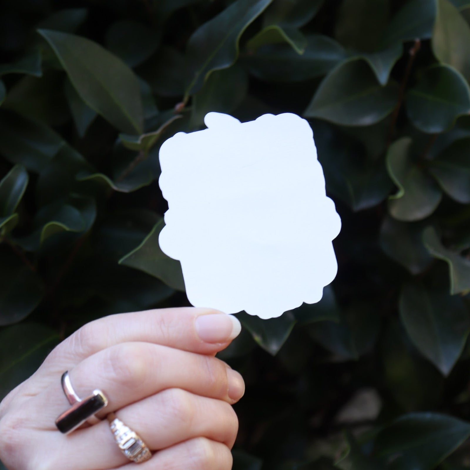 Someone holding the Vintage Halloween Sticker in front of a green bush, showing off the back.