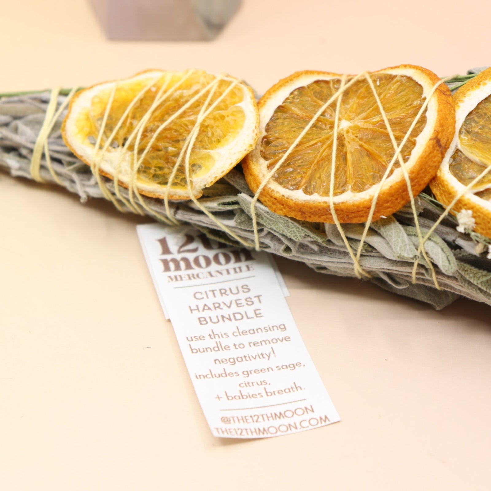 The Citrus Harvest Fall & Winter Sage Bundle on a pink and yellow background.