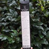 Someone holding the Krampus Premium Incense in front of a green bush, showing off the back