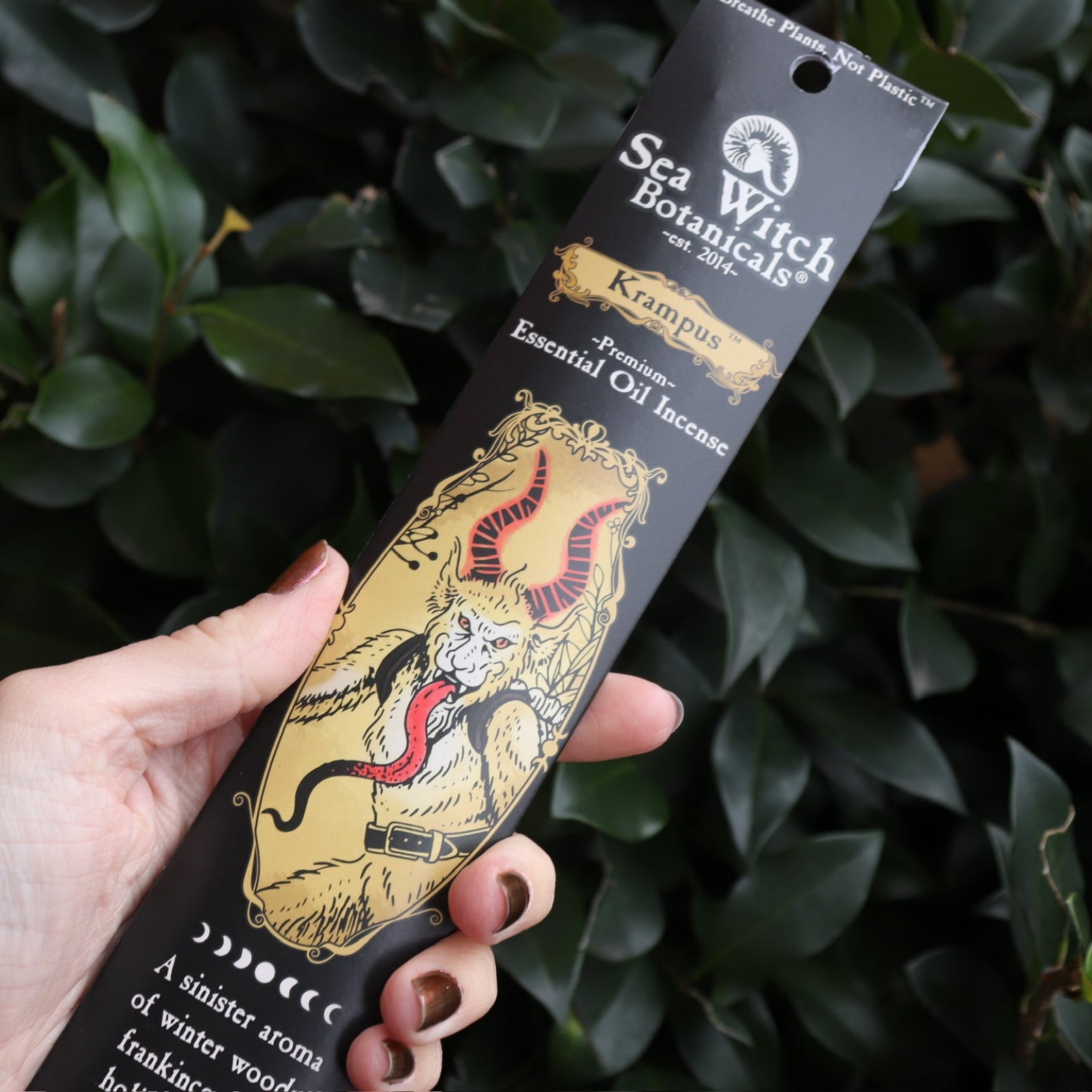 An up-close image of someone holding the Krampus Premium Incense in front of a green bush.