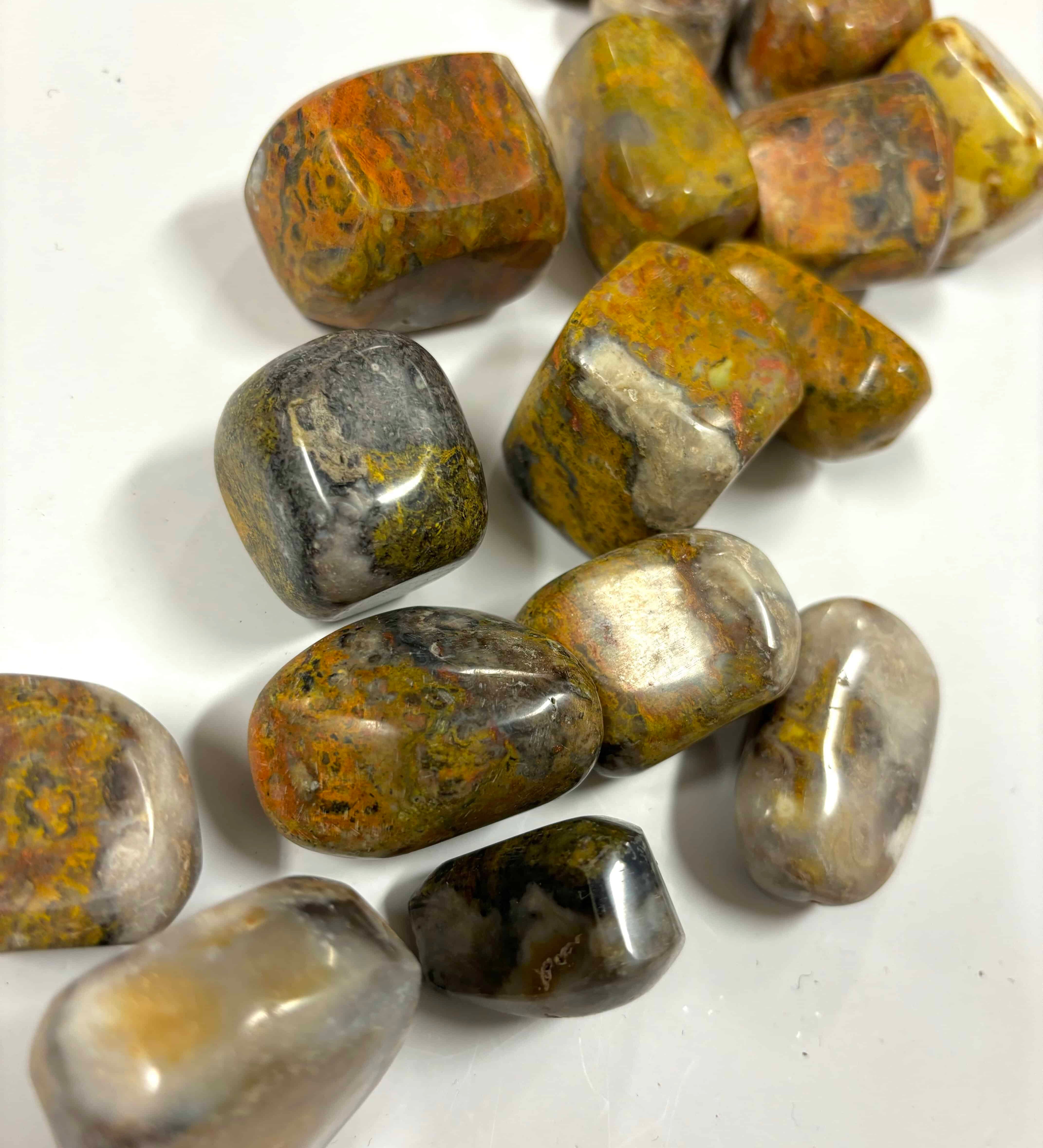 Bumblebee Jasper Tumble