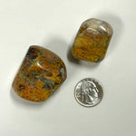 Bumblebee Jasper Crystal tumble