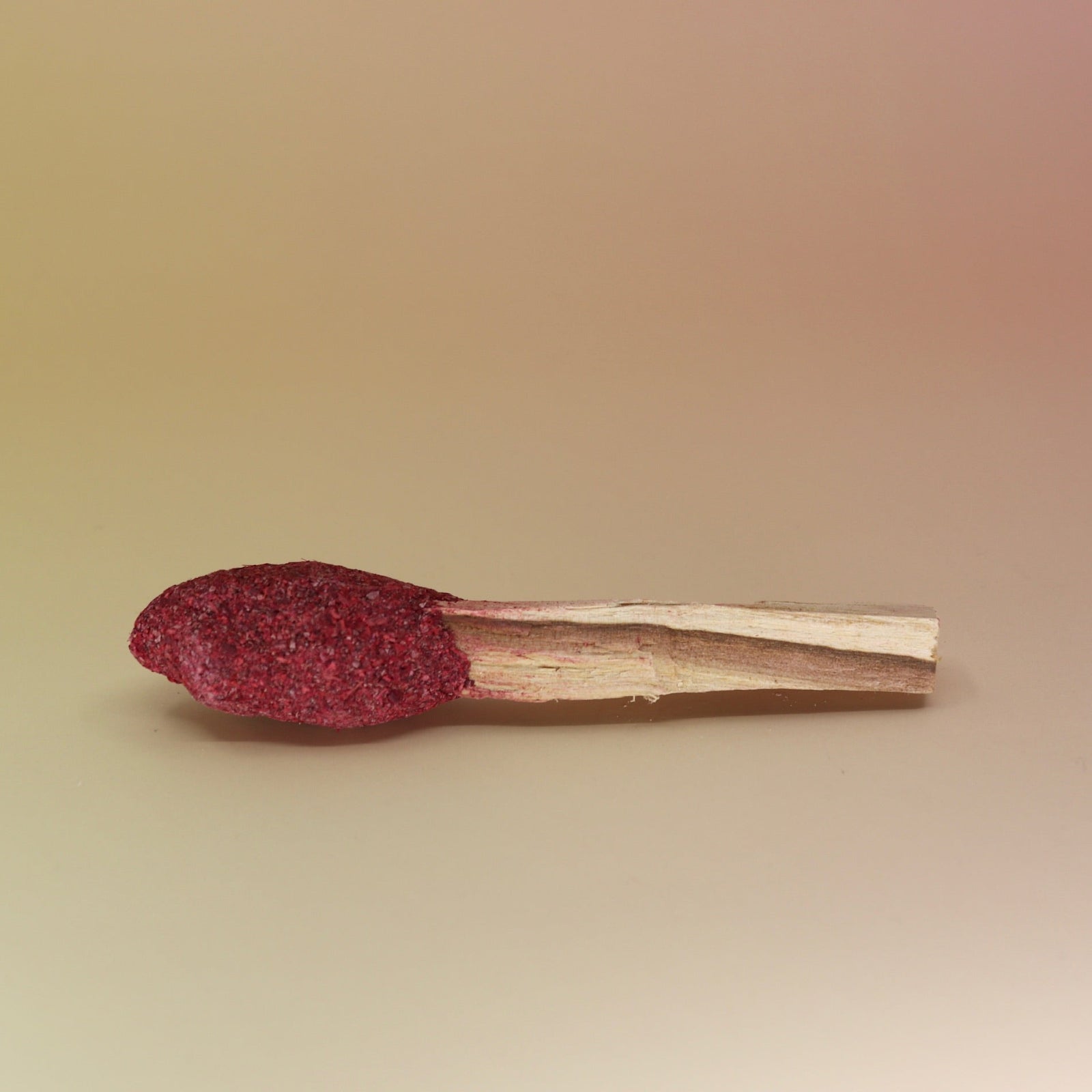 The Dragon's Blood and Palo Santo Pop - 3"-4" Smudge Stick on a pink and yellow background.