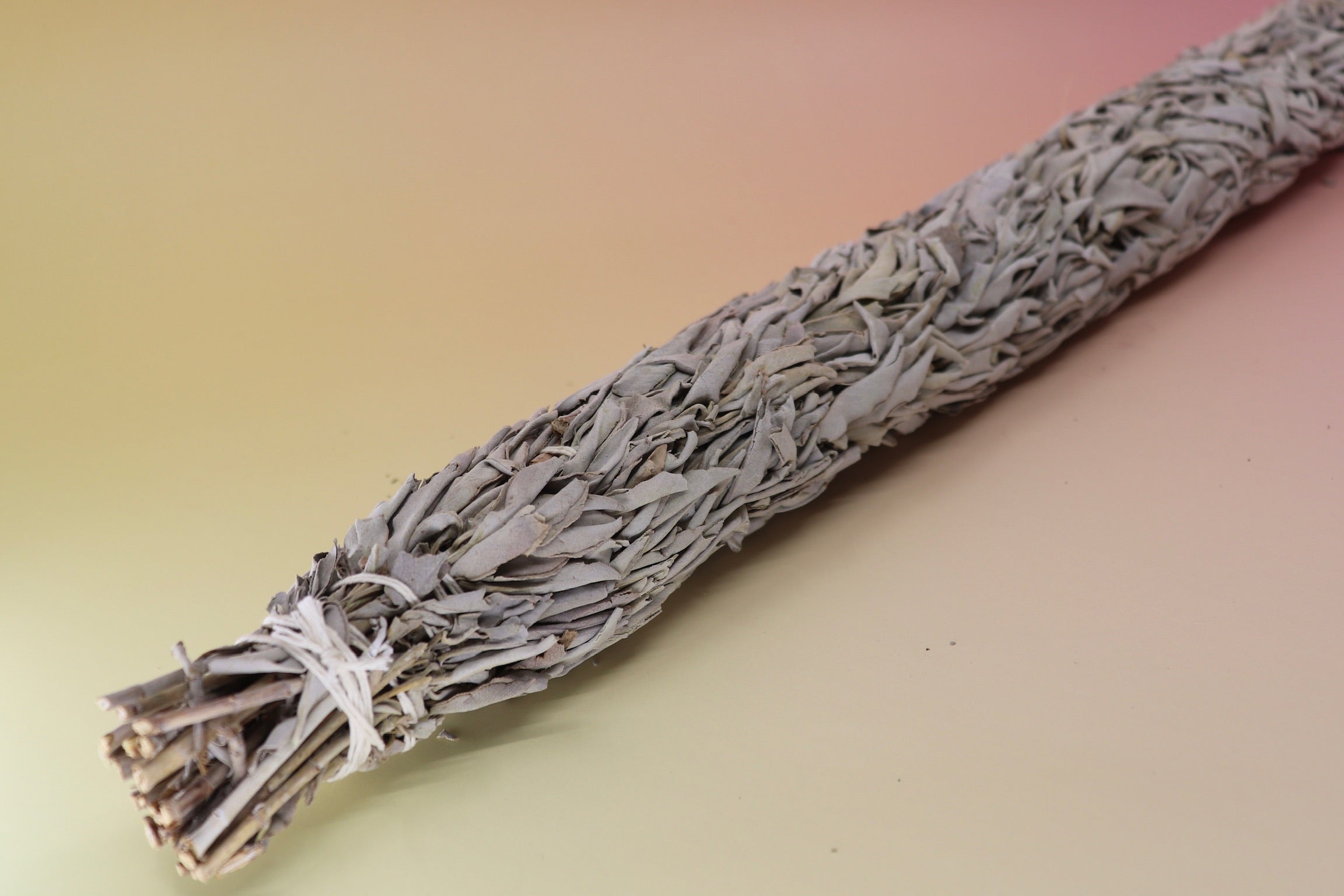 The Jumbo Organic California White Sage - 20" Sage Smudge Stick on a pink and yellow background.