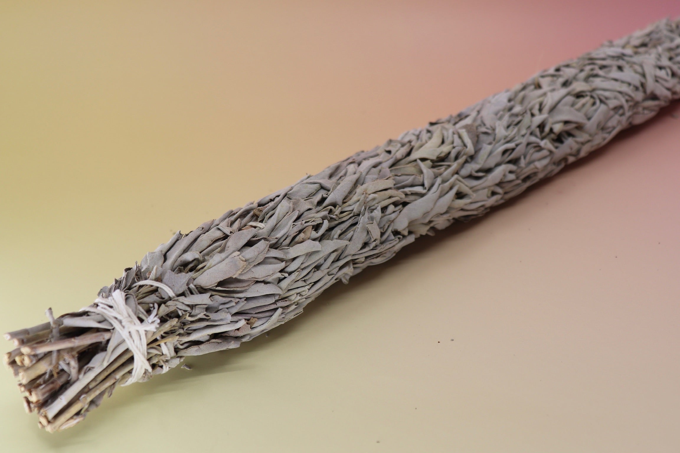 The Jumbo Organic California White Sage - 20" Sage Smudge Stick on a pink and yellow background.