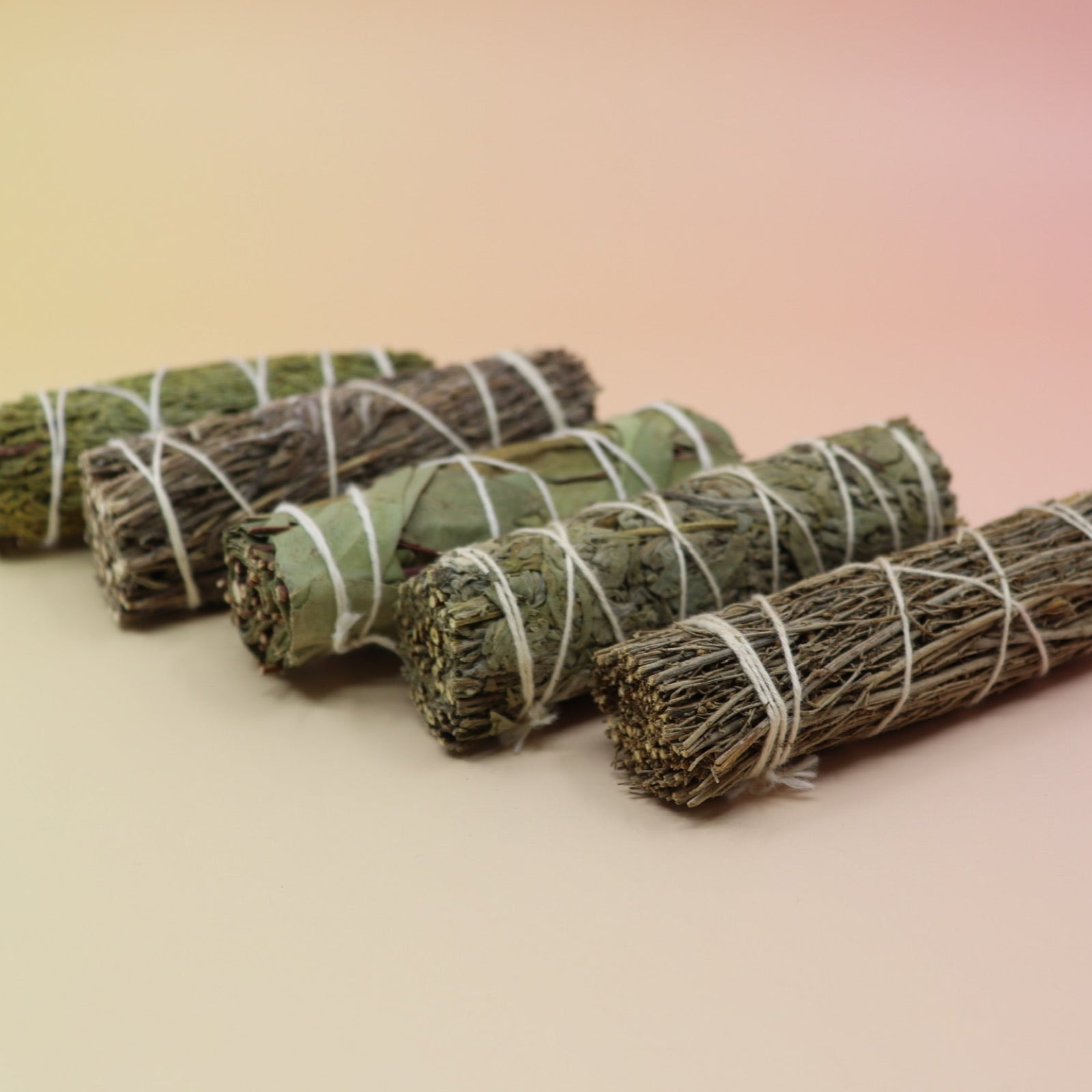 Bundles of sage on a pink and yellow background.