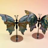 Two of the Natural Marine Jasper Butterfly Crystals with Stand on a pink and yellow background.