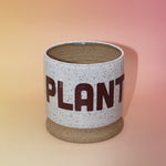 The White Speckled "PLANT" Stoneware 5 in. Planter on a pink and yellow background.