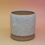The White Speckled "PLANT" Stoneware 5 in. Planter on a pink and yellow background showing off the back.