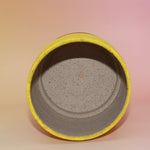 The Cordelia Multicolored Portal Stoneware 5 in. Planter on a pink and yellow background showing off the inside.