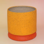 The Phoebe Multicolored Portal Stoneware 5 in. Planter on a pink and yellow background showing off the back.