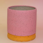 The Stacey Multicolored Portal Stoneware 5 in. Planter on a pink and yellow background showing off the back.