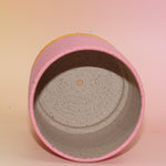 The Stacey Multicolored Portal Stoneware 5 in. Planter on a pink and yellow background showing off the inside.