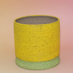 The Megan Multicolored Portal Stoneware 5 in. Planter on a pink and yellow background showing off the back.