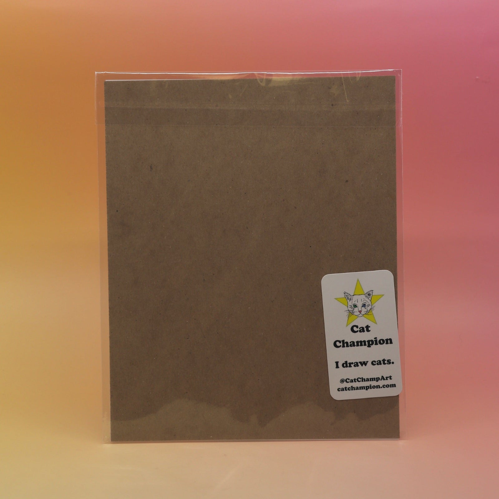 The back of the Orange Psychic Spongecake Cat - 8x10 Print on a pink and yellow background.