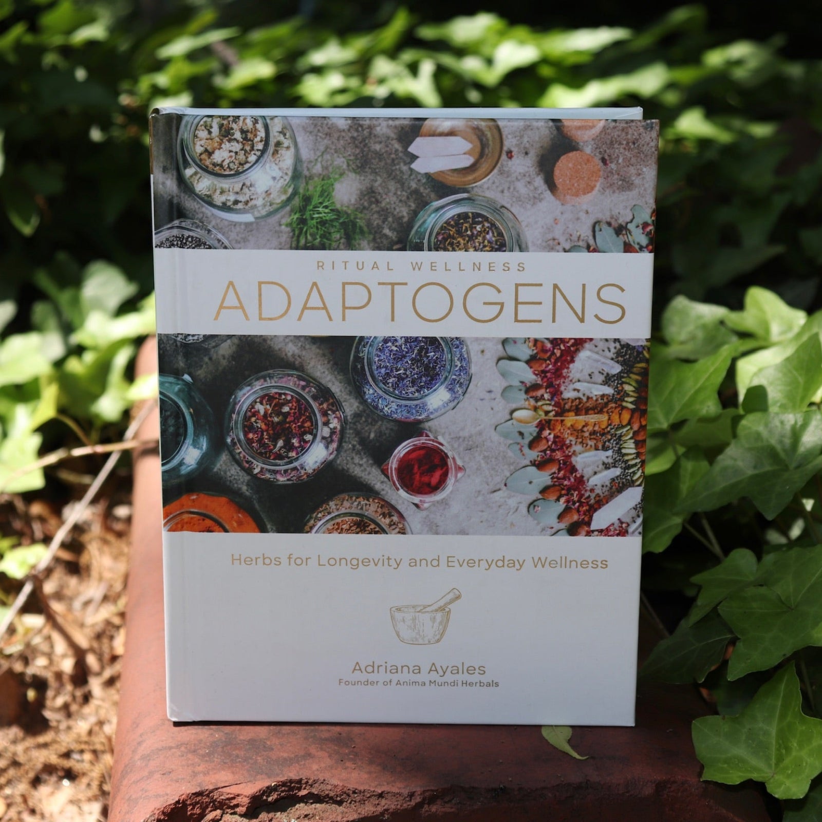The Ritual Wellness Adaptogens - Herbs for Longevity and Everyday Wellness Book on a red brick surrounded by green ivy.