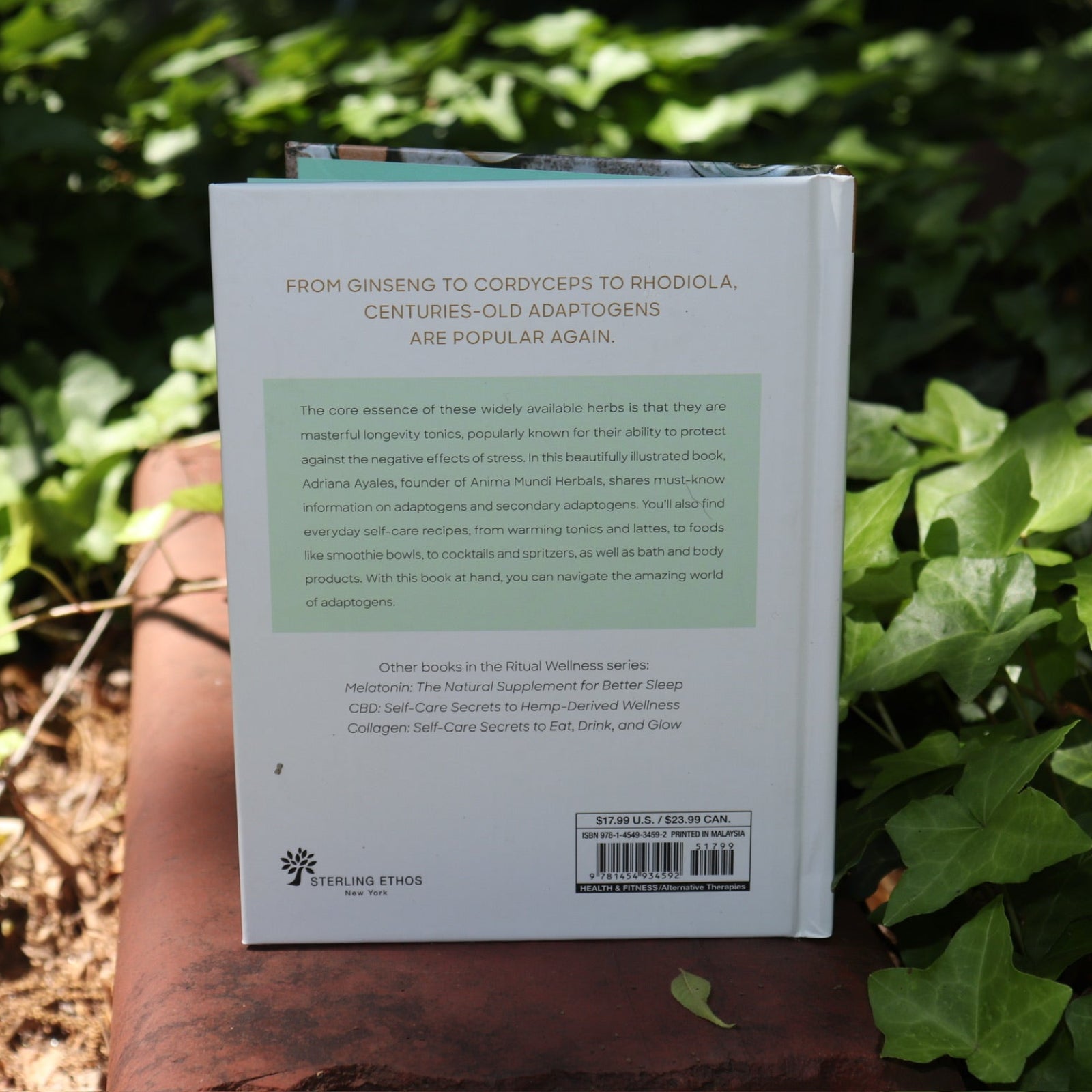 The Ritual Wellness Adaptogens - Herbs for Longevity and Everyday Wellness Book on a red brick surrounded by green ivy.