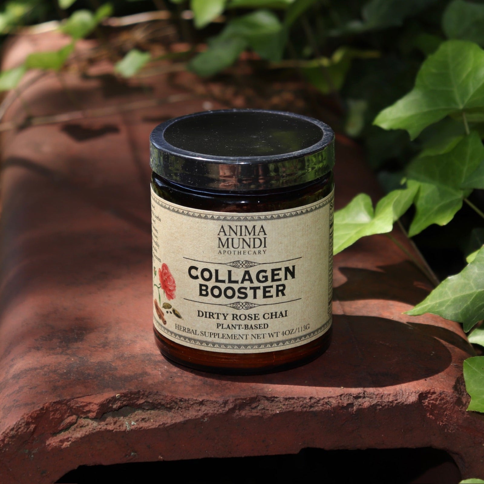 The Collagen Booster - Dirty Rose Chai 4oz Powder on a rusty red surface surrounded by green ivy.